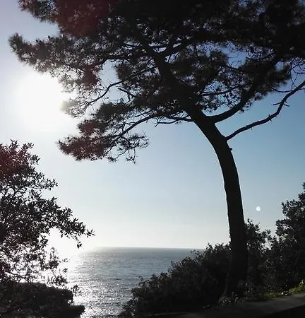 Walmone Saint-Sulpice-de-Royan